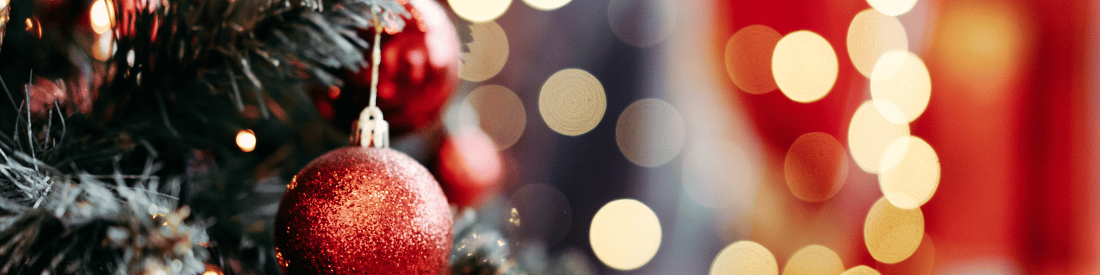 Christmas Concert by Denver and the Mile High